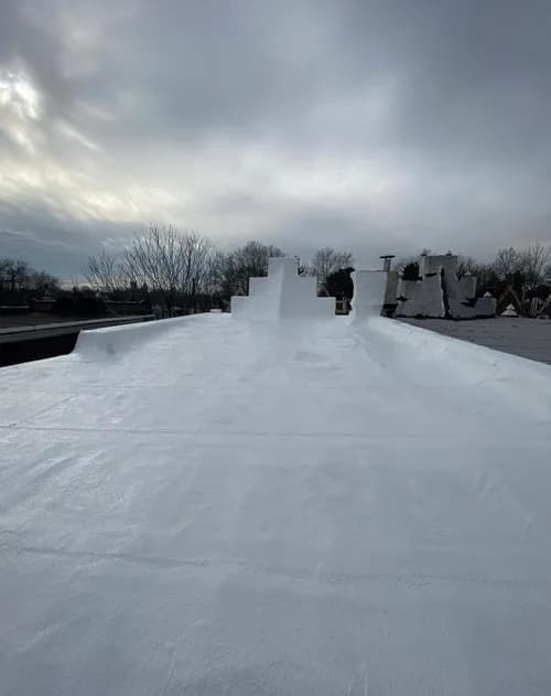 Roofing Restoration Specialist - Photo 3