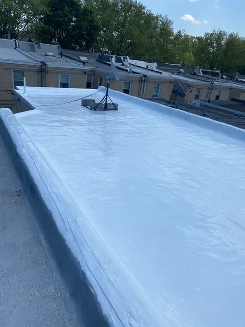 Roofing Restoration Specialist