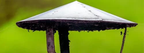 Solid Reach Roof & Gutter