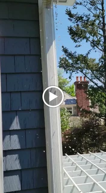 Spotless Gutter Cleaning & Repair of Connecticut, Inc. - Photo 3