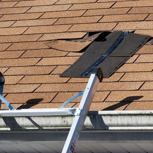 Springdale Roofing Pros - Photo 4