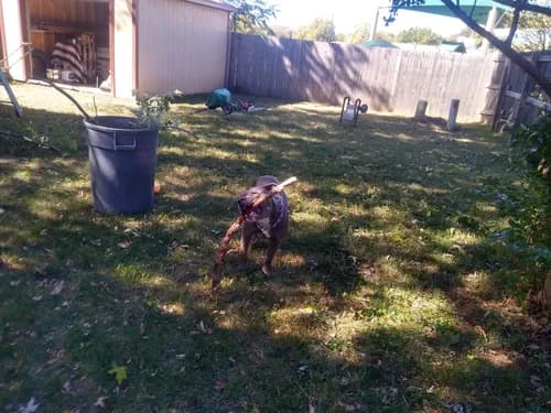 Standard Roofing & Contracting - Photo 5