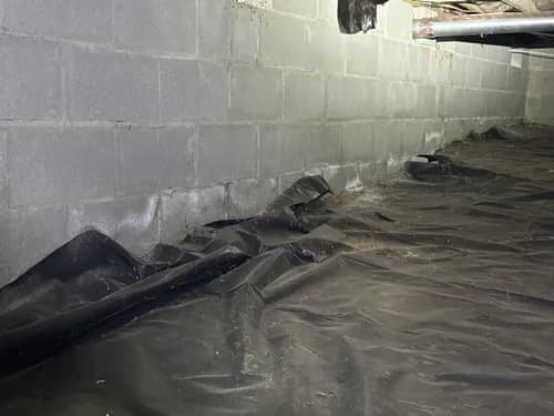 The Inspection Company - Photo 1