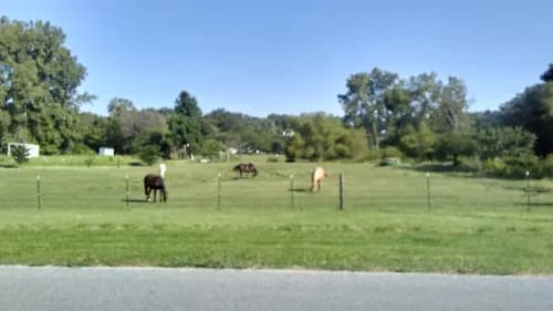 Top Pro Roofing Repair Fair Lawn - Photo 4