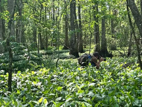 Top Roofing LLC - Photo 4