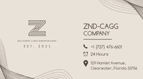 ZND-Cone Attic-Solution & Insulation's & Roofing Inc Clearwater, FL - Photo 3